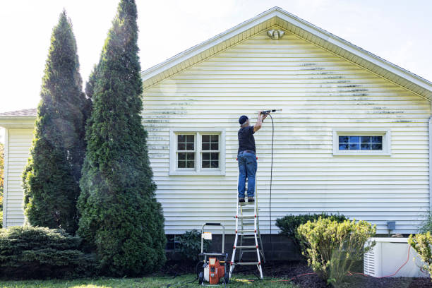 Best Residential Pressure Washing Services  in Lake Zurich, IL
