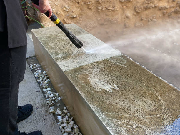 Best Sidewalk Pressure Washing  in Lake Zurich, IL