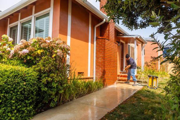 Best Deck Cleaning Services  in Lake Zurich, IL