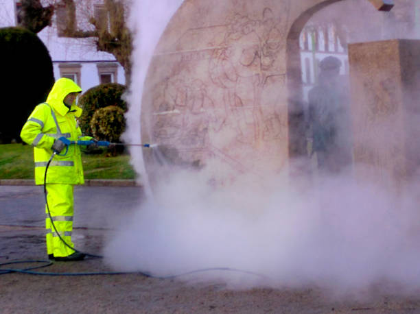 Best Best Pressure Washing Companies  in Lake Zurich, IL