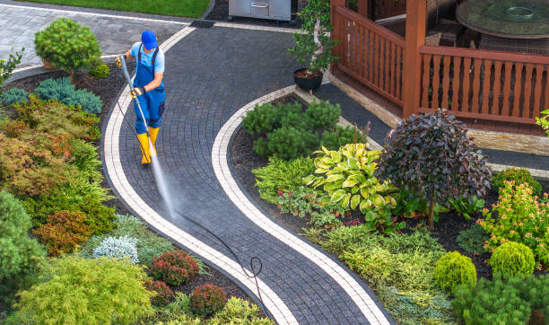 Best Local Pressure Washing Services  in Lake Zurich, IL